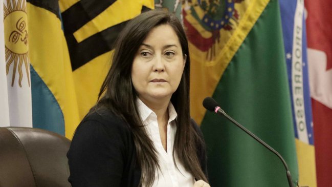 Detención de activista venezolana enciende las alarmas en la comunidad internacional