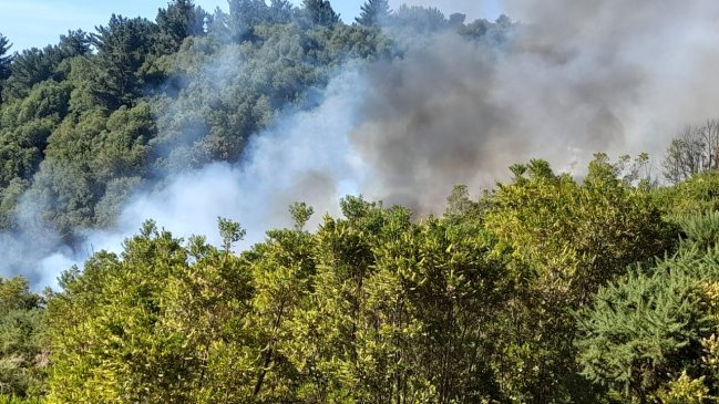 Alerta roja en Temuco por incendio forestal próximo a Cerro Ñielol