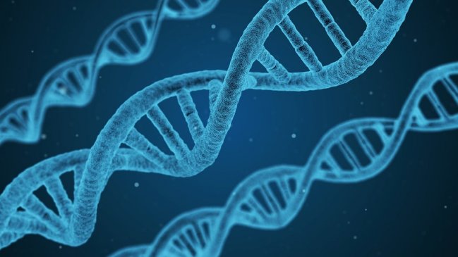  Mujer descubrió tener 22 hermanos luego de hacerse una prueba de ADN  