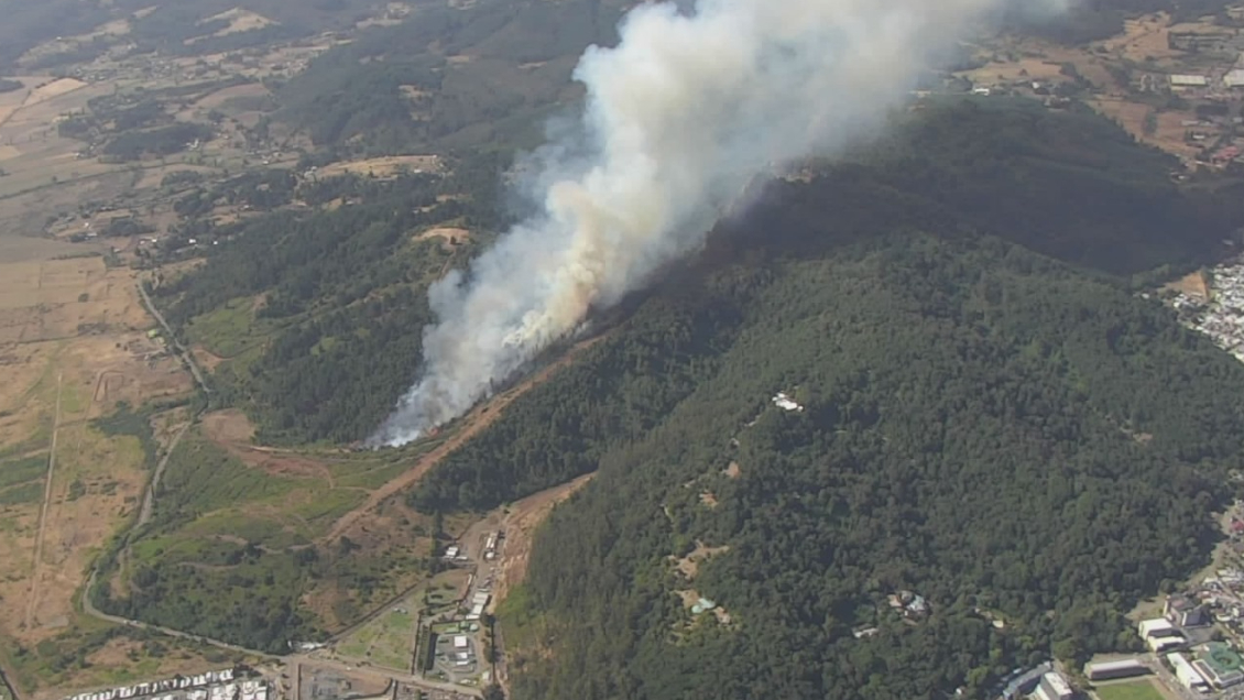 Imputados por incendio en el cerro Ñielol quedaron con firma mensual