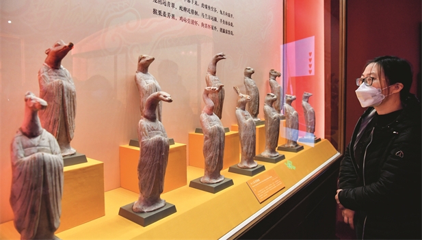 Imagen foto_00000012