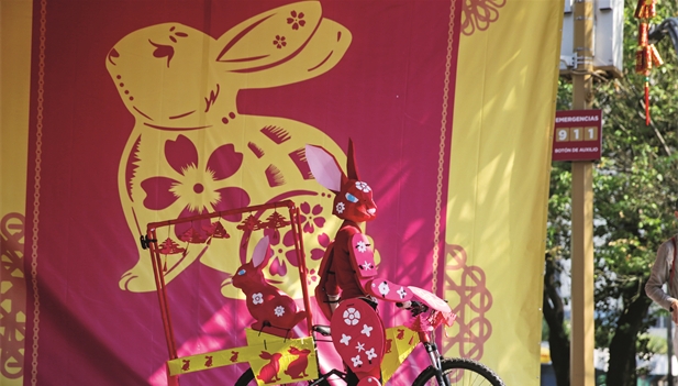 Imagen foto_00000014