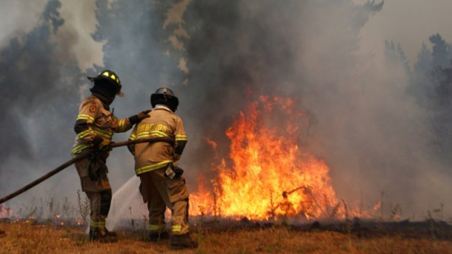   Lonquimay es la única comuna de La Araucanía que mantiene alerta roja por incendio forestal 