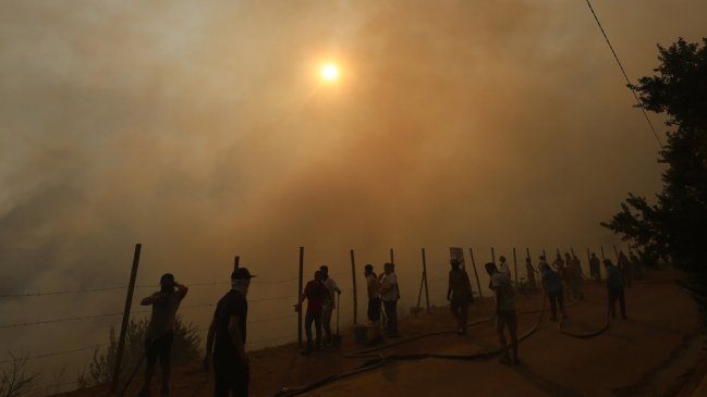 Informe del municipio de Viña alertó en noviembre sobre 