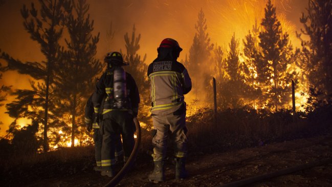 Cuatro incendios forestales se mantienen en combate en La Araucanía