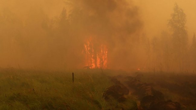Incendio forestal en Tirúa sigue activo y ha consumido ya 170 hectáreas