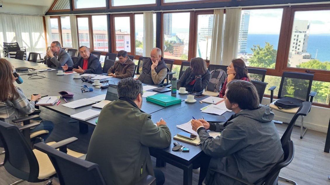 Dos nuevas integrantes completaron Consejo Regional de Los Lagos