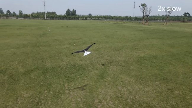 China presenta un avión que imita el vuelo de las aves