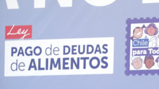 Los Ríos: Deudas de alimentos superan los 500 mil millones de pesos