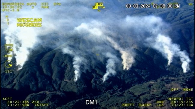 Corma denunció 19 focos simultáneos en incendio forestal en Tirúa