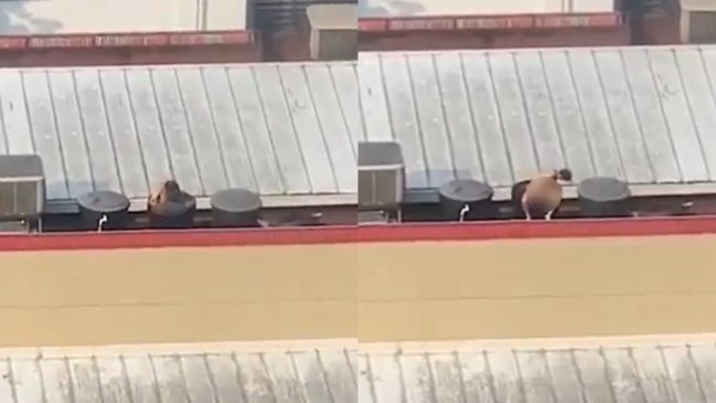 Captan a hombre mientras se bañaba desnudo en tanque de agua de un Burger King