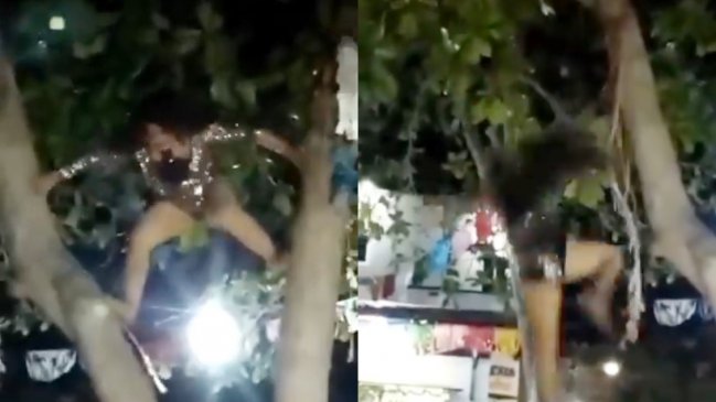 Doble de Gloria Trevi se accidentó tras trepar un árbol en pleno show: 