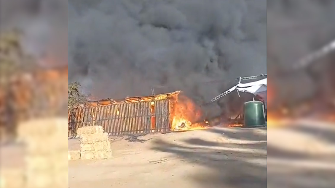 Incendio consume medialuna de Marchigüe en plena 