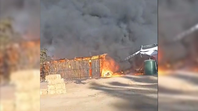 Incendio consume medialuna de Marchigüe en plena 