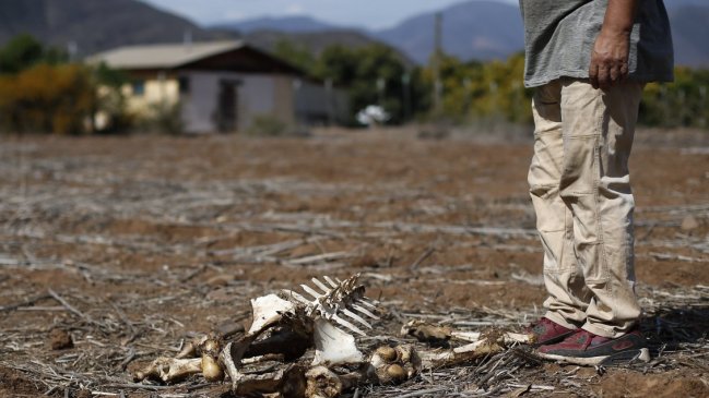 Expertos advierten que La Niña podría provocar la misma sequía extrema de hace un siglo