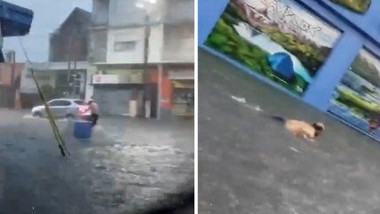   Hombre fue visto nadando por las anegadas calles de Buenos Aires 