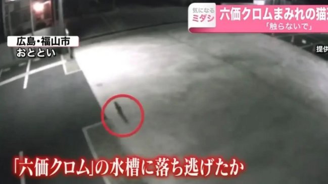 Ciudad japonesa en alerta por 