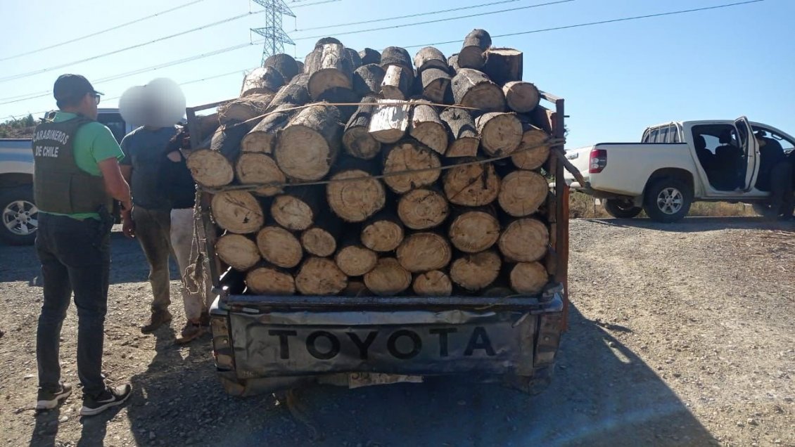 Carabineros detuvo a banda criminal dedicada al robo de madera en Lota