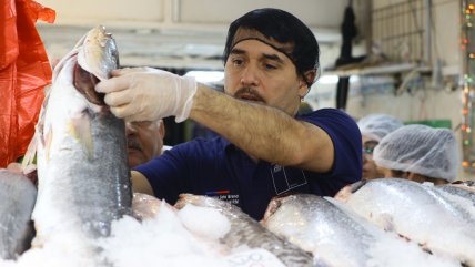  Semana Santa: Seremi entregó recomendaciones de compra y consumo de pescados  