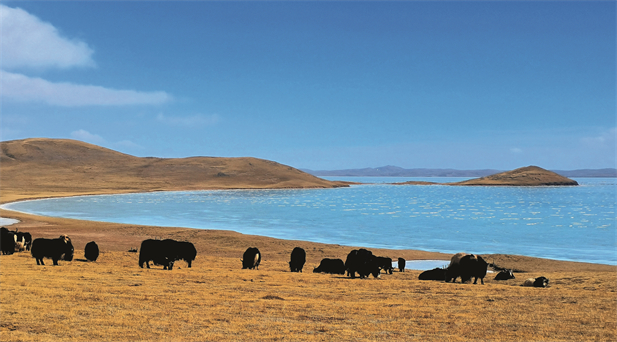 Imagen foto_00000002