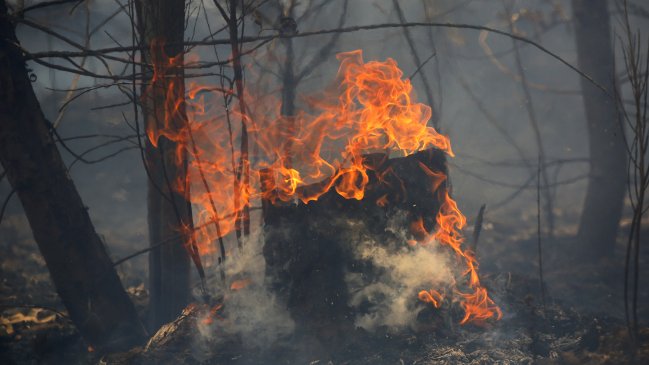  Hombre se puso a quemar basura y provocó incendio forestal en Laguna Verde  