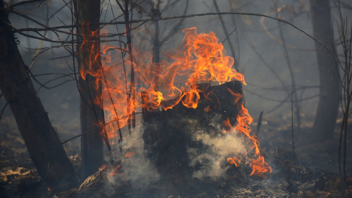 Hombre se puso a quemar basura y provocó incendio forestal en Laguna Verde