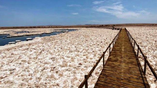 Codelco y SQM extienden dos meses el plazo para sellar acuerdo por el litio