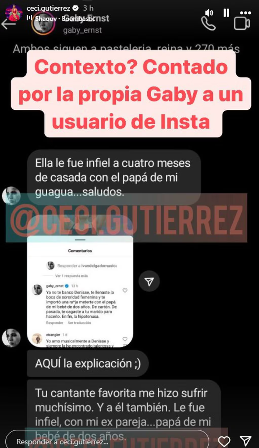 Denisse Malebrán caso de infidelidad