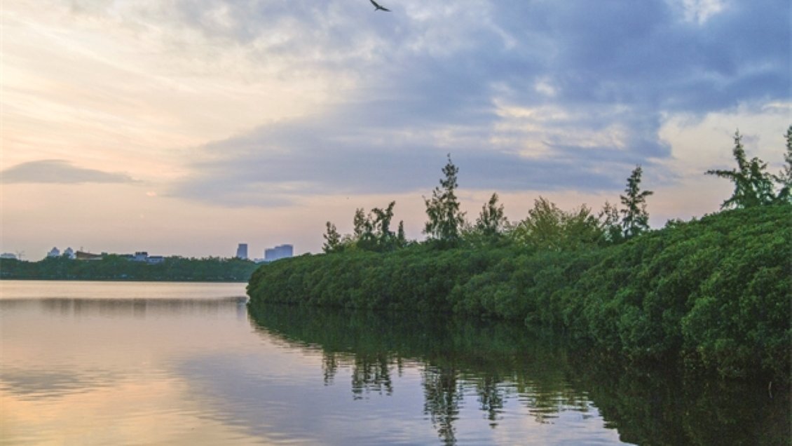 China Hoy: El ejemplo del lago Yundang