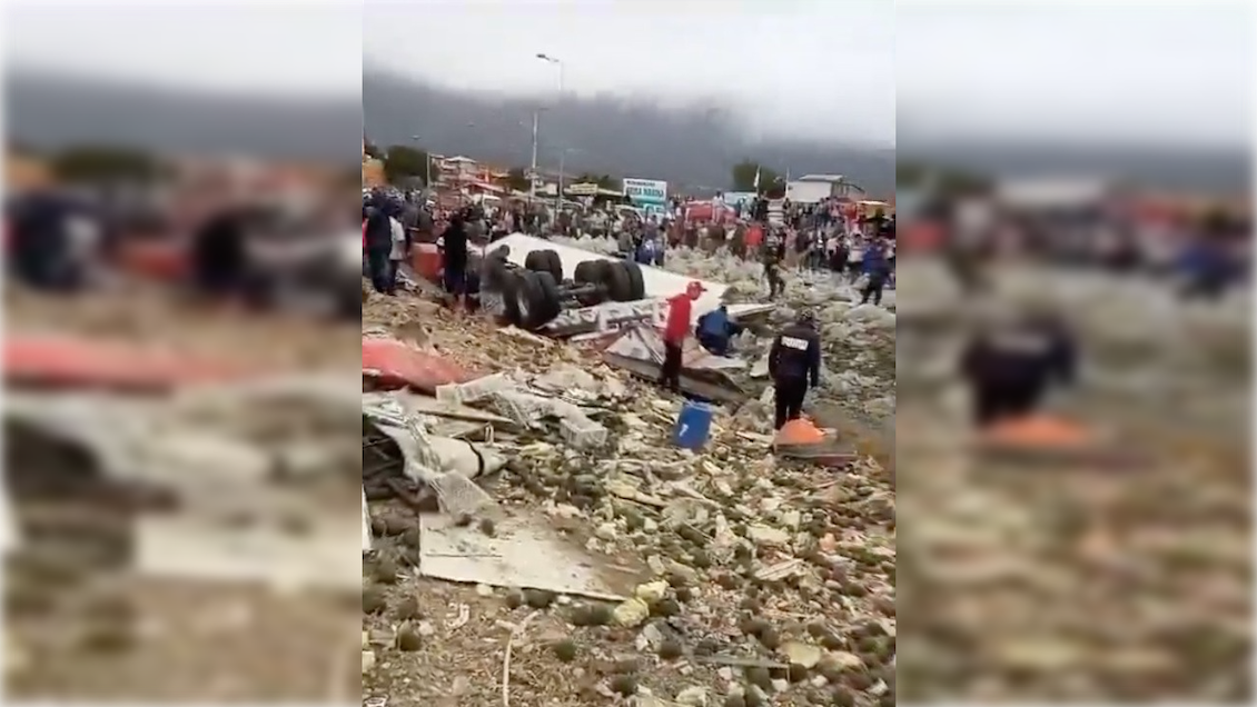 Saquean camión con paltas mientras conductor fallecido aún estaba en el vehículo