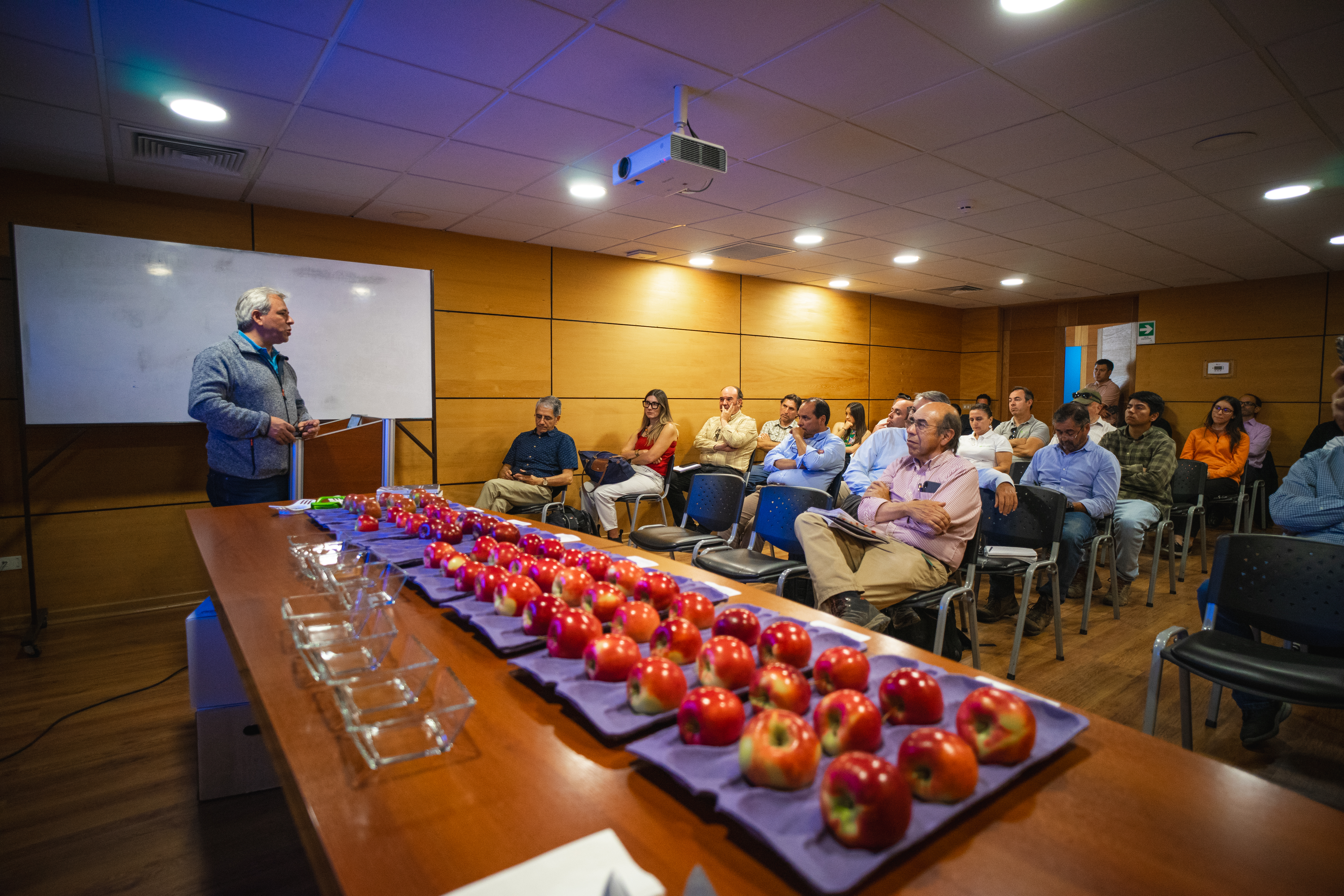 Imagen foto_00000002