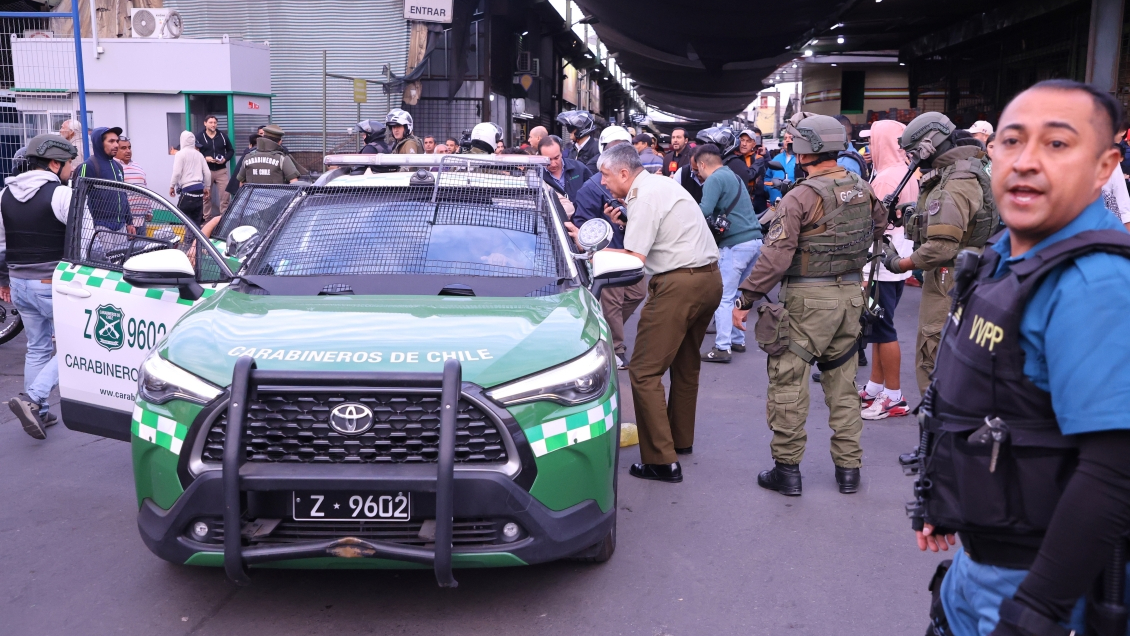 Delegada llamó a confiar en coordinación policial tras incidente en Lo Valledor