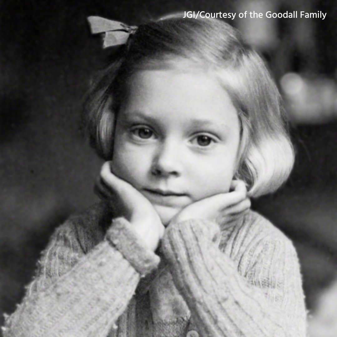 Imagen foto_00000002