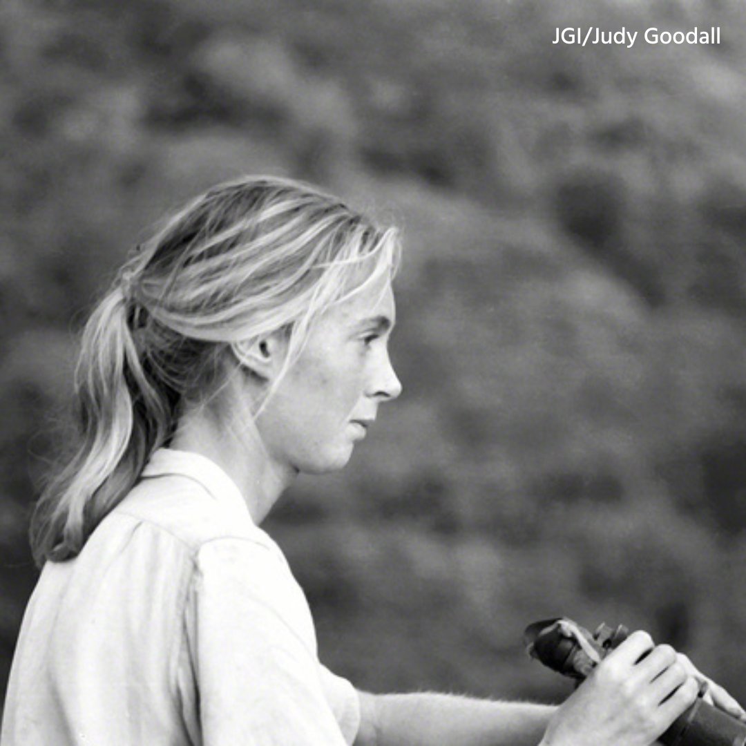 Imagen foto_00000012