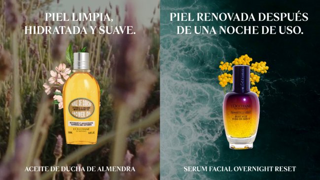 L'Occitane: Una verdadera experiencia sensorial