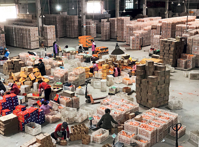 Imagen foto_00000011