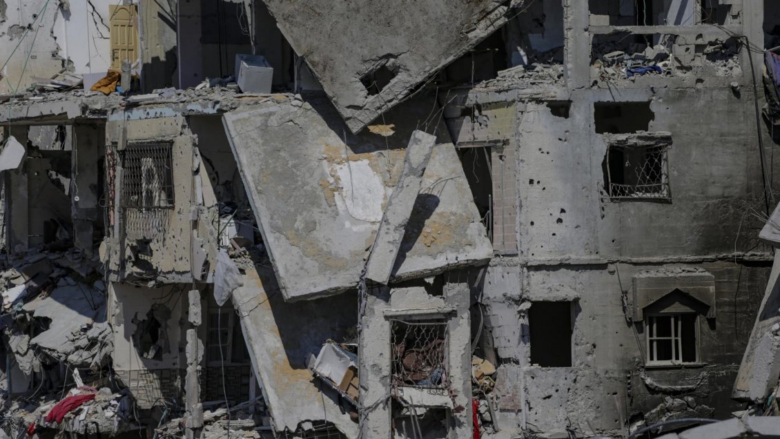 ONU: La humanidad perdió su 