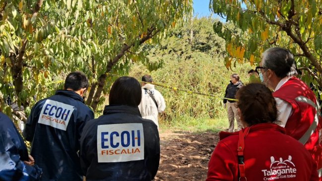 Agricultor halló cadáver masculino en un predio de Talagante