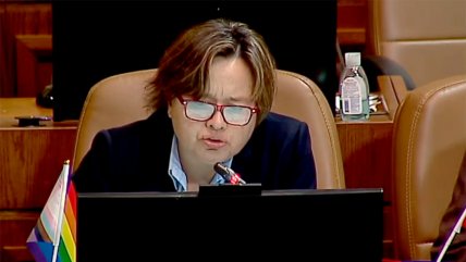   Preocupación: Diputada se desmayó en plena intervención en la Cámara 