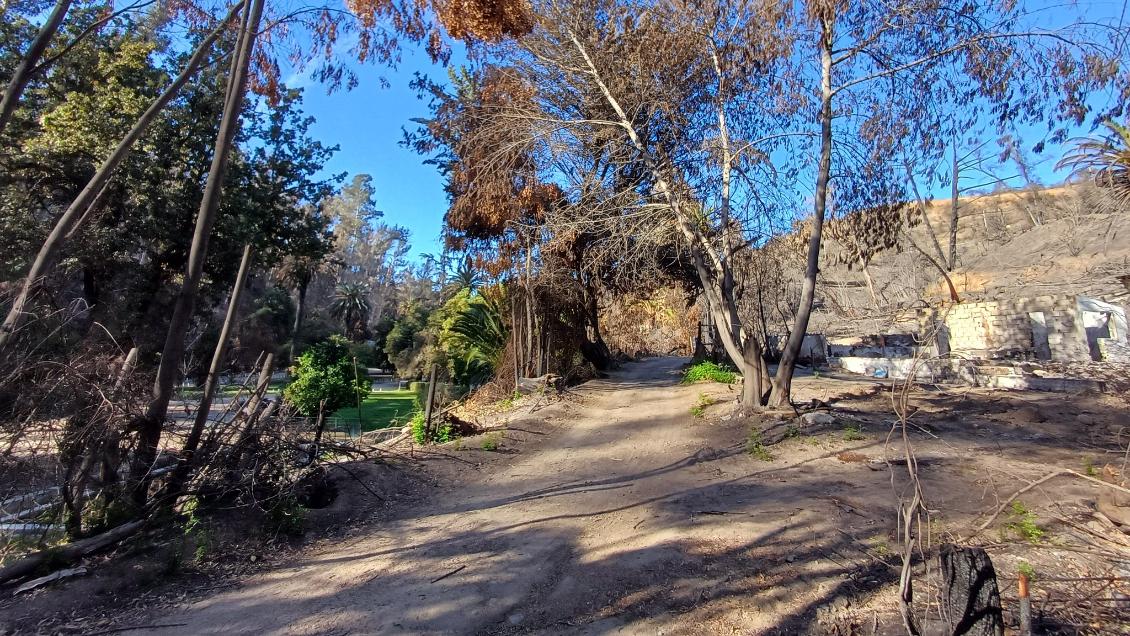 Gobierno anunció financiamiento para restaurar el Jardín Botánico y la Reserva Lago Peñuelas