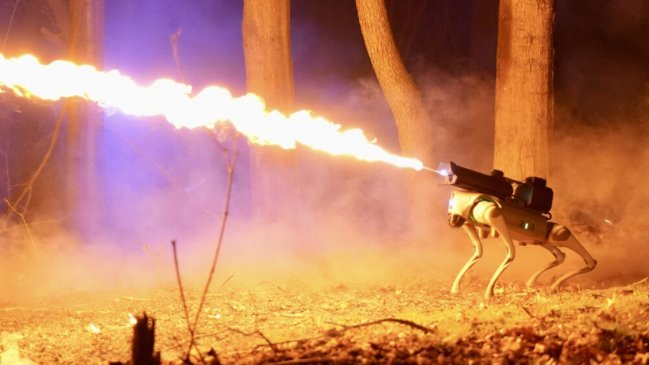 Crean perro lanzallamas 