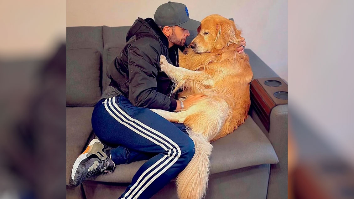 Indignación en Brasil por muerte de perro enviado en un vuelo equivocado