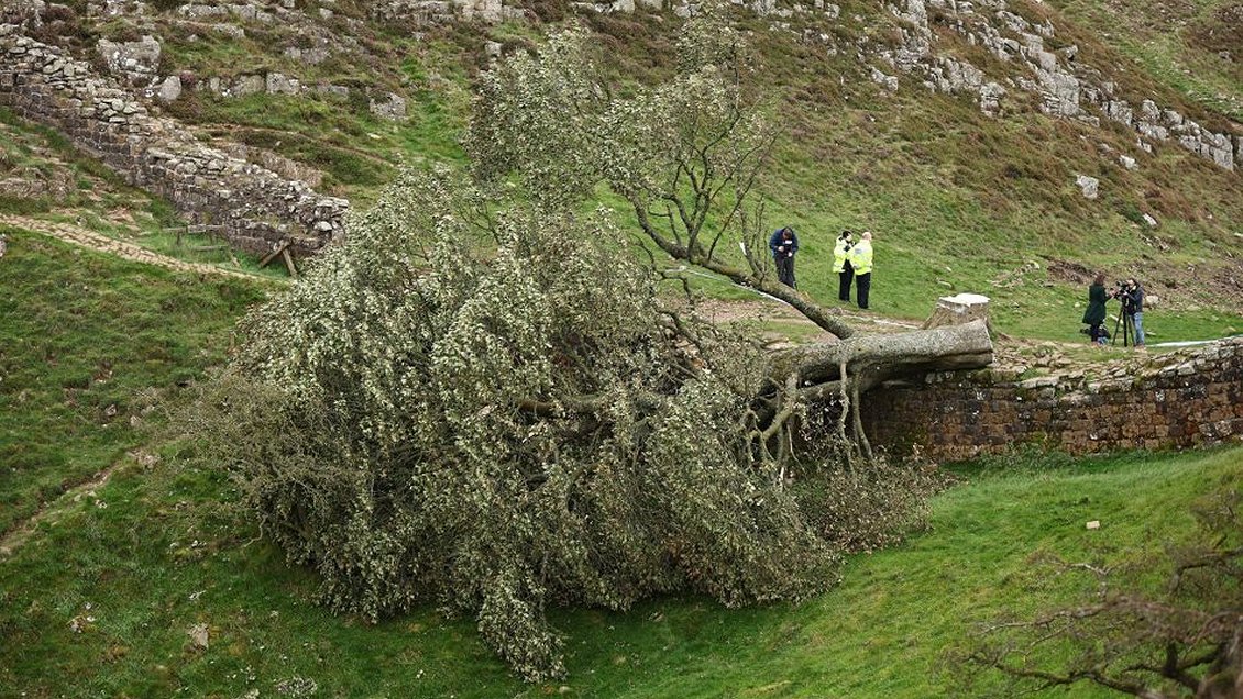 Dos ingleses serán procesados por derribar 