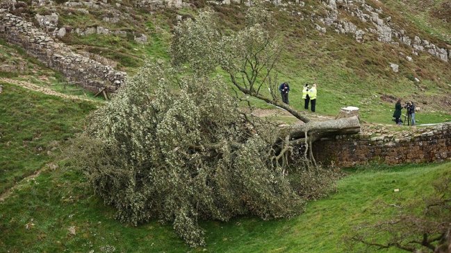Dos ingleses serán procesados por derribar 