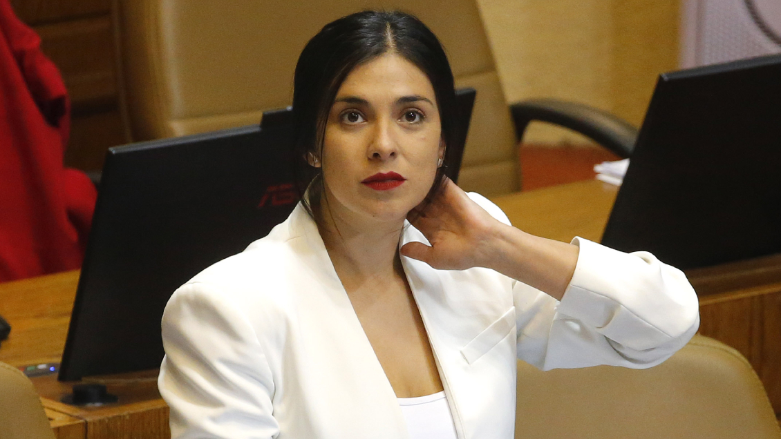 Cariola sobre el perro 