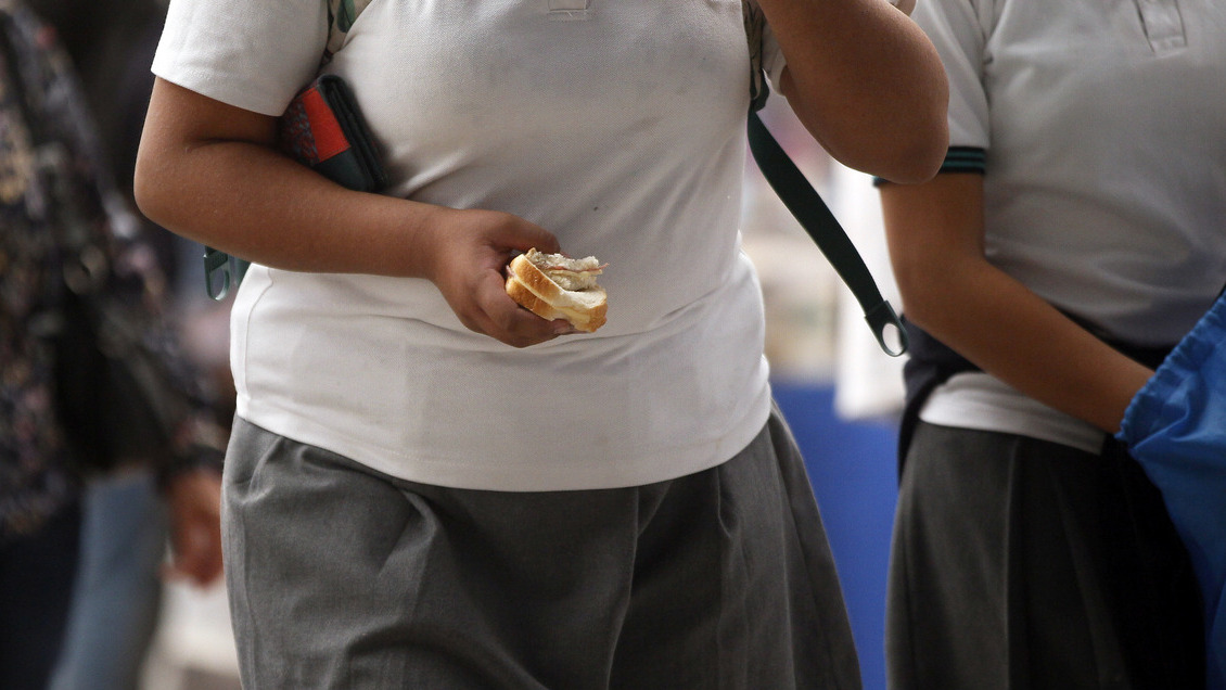 Las Partes del Todo: Los detalles del Mapa Nutricional Escolar 2023