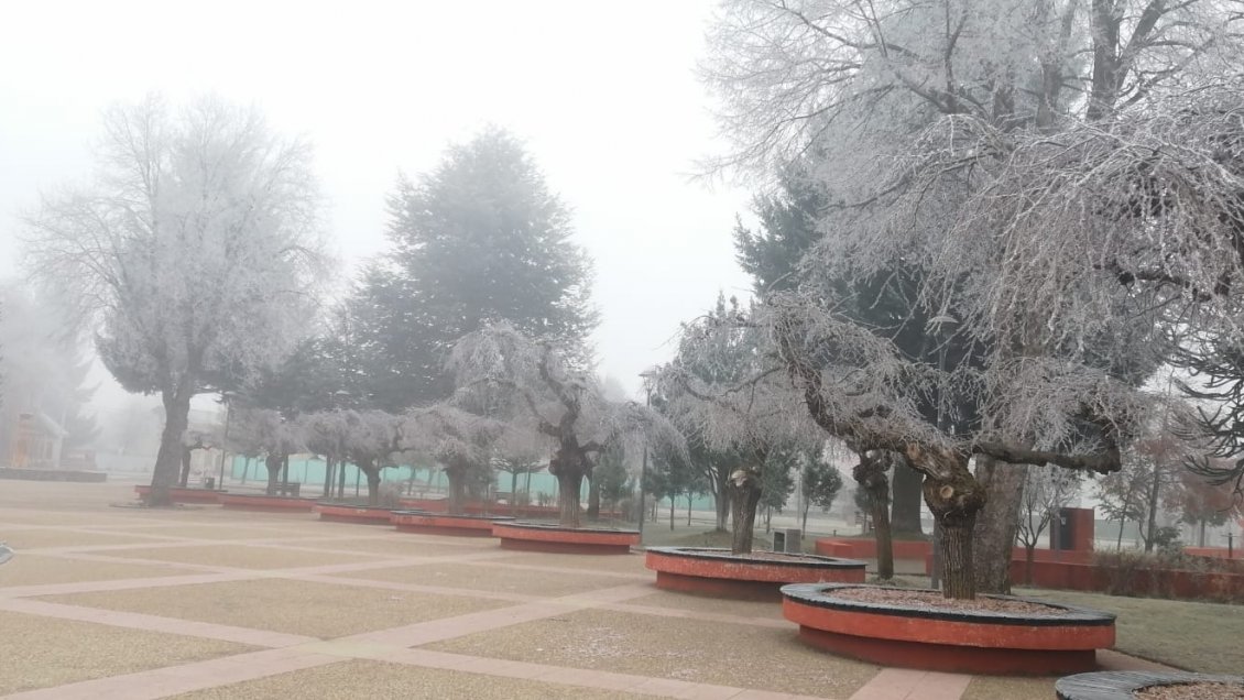 Nevadas en la precordillera complican tránsito en comunas de La Araucanía