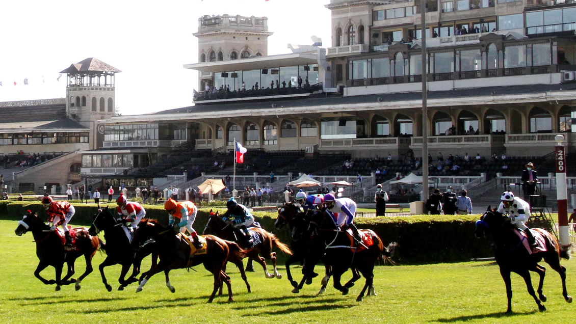 SAG confirmó brote de anemia infecciosa equina en el Club Hípico