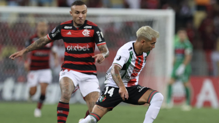   Palestino desafía a Flamengo con la ilusión de dar pelea por su grupo de Libertadores 