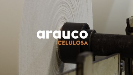   Forestal Arauco suspende operaciones de importante aserradero en el Biobío 